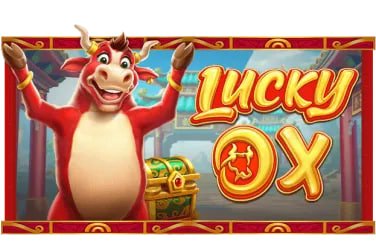 QRIS code displayed on laku togel deposit page ready for scanning with any bank app